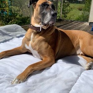 Meet your Posher, Chance